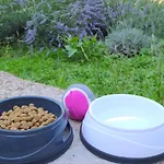 Ferienhaus Lavender Garden House