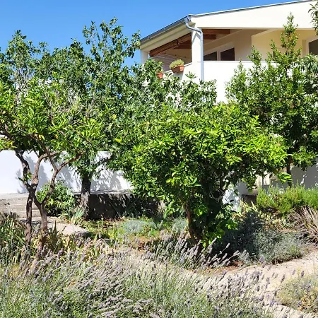 Lavender Garden House Casa vacanze *
