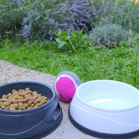 Prázdninový dům Lavender Garden House