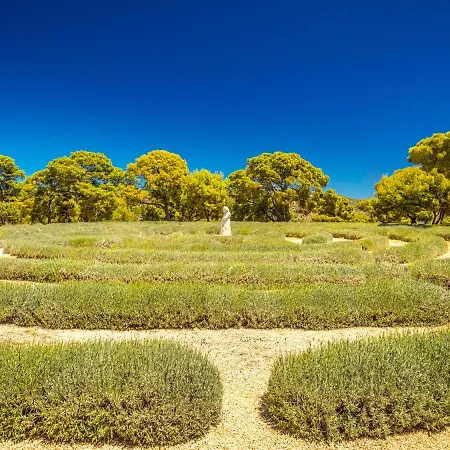 Lavender Garden House Casa vacanze