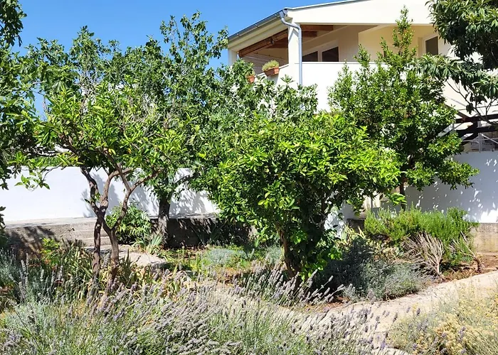 Lavender Garden House Vikendica *