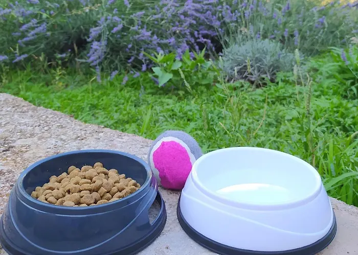 Vikendica Lavender Garden House